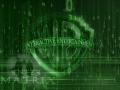Enter the Matrix1